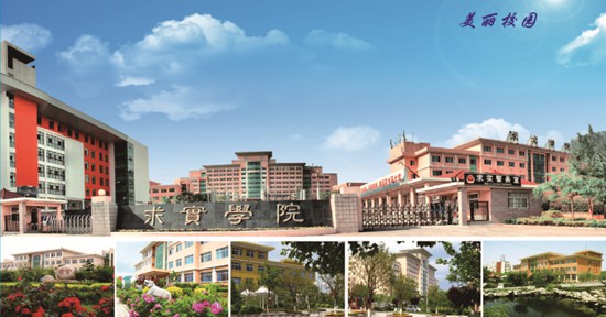 青島哪所學(xué)校開(kāi)設(shè)了空中乘務(wù)專業(yè)？