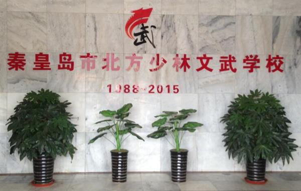 秦皇島北方少林文武學(xué)校就業(yè)如何？這答案你放心！