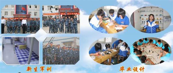 青島海信中心聯(lián)校收費標準是什么？