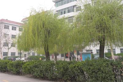 保定哪所正規(guī)的學(xué)校有鐵路專(zhuān)業(yè)？   