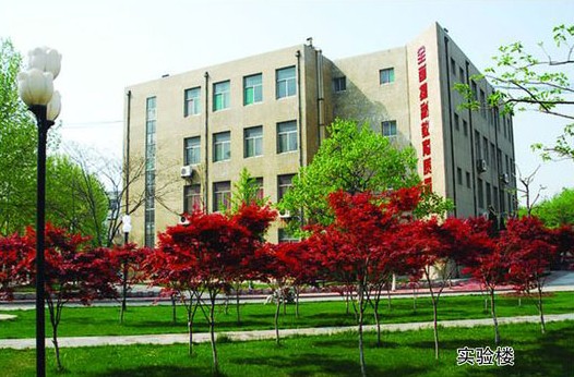 淄博市工業(yè)學(xué)校開設(shè)哪些計(jì)算機(jī)課程？