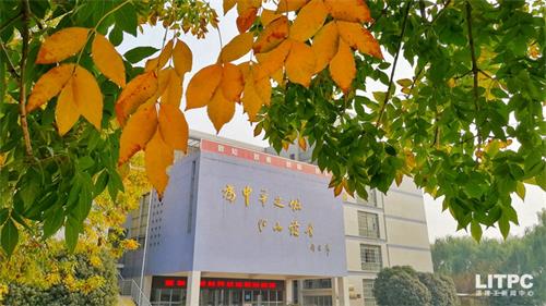 洛陽(yáng)學(xué)電子商務(wù)去哪里？學(xué)電子商務(wù)去洛陽(yáng)哪所學(xué)校？