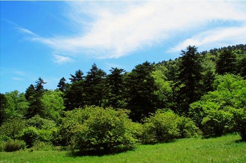 邢臺(tái)沙河市綜合職教中心現(xiàn)代林業(yè)技術(shù)怎么樣？