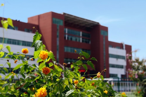通過單招考取大學(xué)有哪些優(yōu)勢(shì)？
