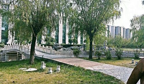 保定平安技工學(xué)校動(dòng)漫設(shè)計(jì)專業(yè)上什么課程？   