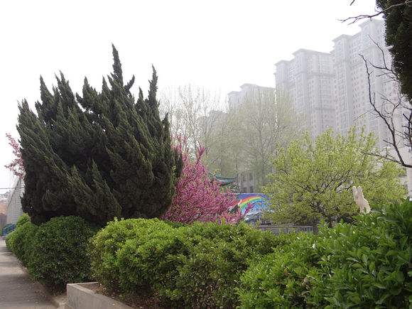 煙臺(tái)天虹學(xué)院怎么樣？