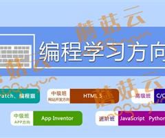 孩子為什么要盡早學(xué)習(xí)少兒編程。濟(jì)寧蘑菇云少兒編程