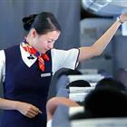 航空服務(wù)（票務(wù)、安檢方向）、航空乘務(wù)定向委培